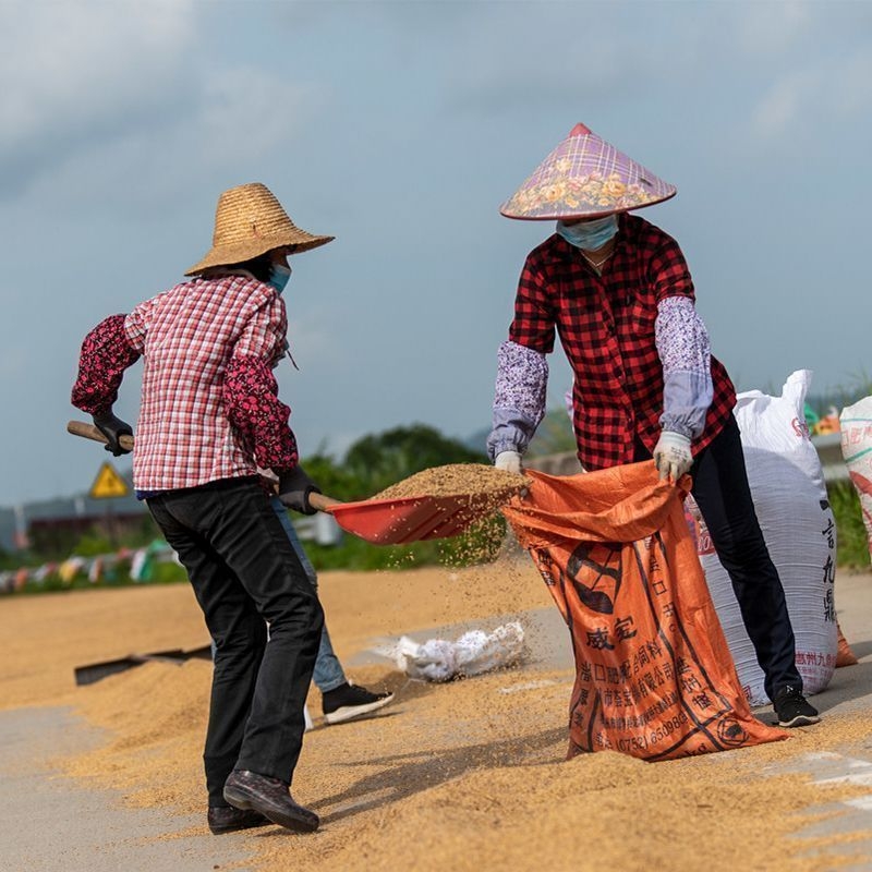 Πλαστικό φτυάρι, εξαιρετικά παχιά και ανθεκτική στη φθορά λεπίδα, για γεωργικές εργασίες, αποχιονισμό και συγκομιδή σιτηρών