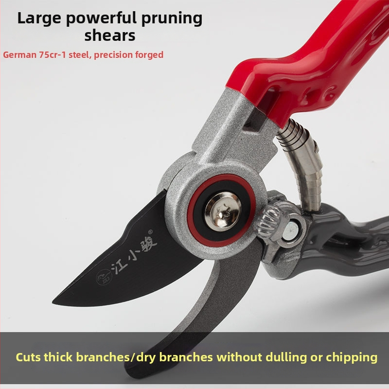 75Cr-1 Εξοικονομητικά ψαλίδια κηπουρικής για κλάδεμα κλαδιών, ειδικά ψαλίδια για κλάδεμα φρούτων δέντρων, οικιακά εργαλεία κλάδεματος ανθών