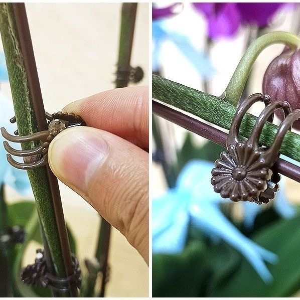 Clip decorativ de grădină - Hongxuan plastic pentru fixarea formei plantei cățărătoare - Cod 007