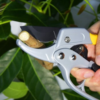 Foarfă de tăiat ramuri cu protecţie pentru mână şi mâner drept, cap de peşte, design secționat, Model 31, unelte de grădină multifuncționale pentru fructe și pomi