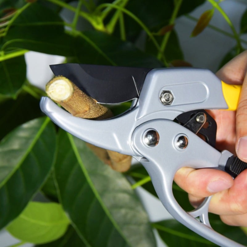 Foarfă de tăiat ramuri cu protecţie pentru mână şi mâner drept, cap de peşte, design secționat, Model 31, unelte de grădină multifuncționale pentru fructe și pomi