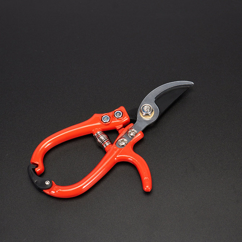 Ножици за подрязване на клони за градина с улесняващ дизайн от Jingshi Famous Craftsman