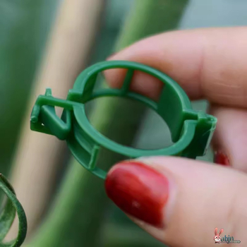 Vynuogių fiksavimo klipsas augalams – plastikinis palaikymo klipsas grotelėms