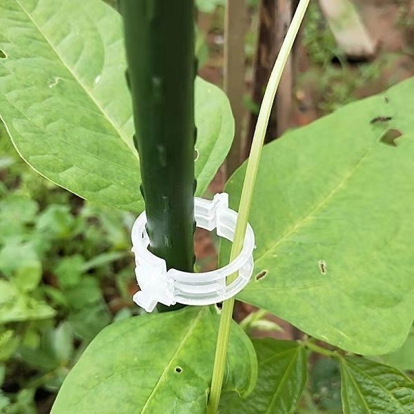 Vynuogių fiksavimo klipsas augalams – plastikinis palaikymo klipsas grotelėms