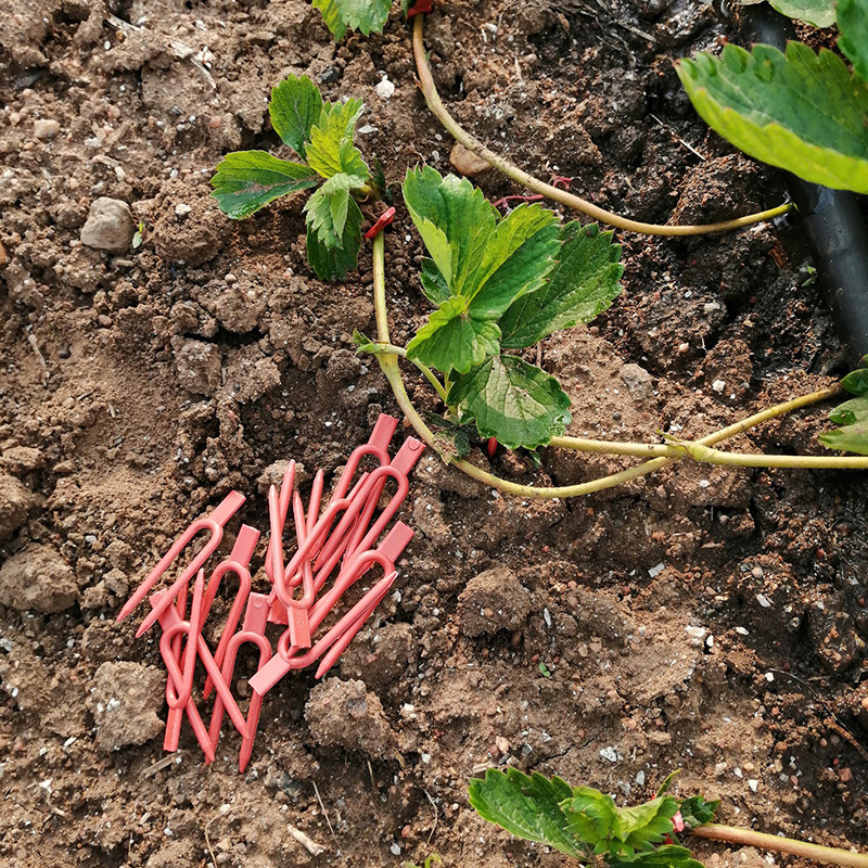 Unealtă de presare a răsadurilor în seră – plastic, manual, Eternal Crown, pentru plantarea pomilor fructiferi