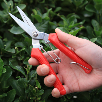 Foarfece pentru culegerea strugurilor – Bai Jing, mâner din plastic, foarfecă de grădină multifuncțională
