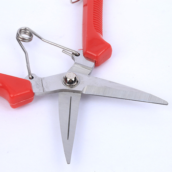 Foarfece pentru culegerea strugurilor – Bai Jing, mâner din plastic, foarfecă de grădină multifuncțională