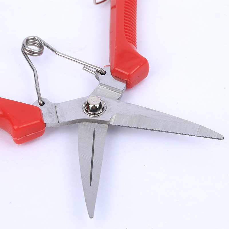 Foarfece pentru culegerea strugurilor – Bai Jing, mâner din plastic, foarfecă de grădină multifuncțională