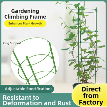 Rui Tree Nastaviteľný rám na rastliny z plastom potiahnutej oceľovej trubky – vhodný do interiéru, kancelárie a domova