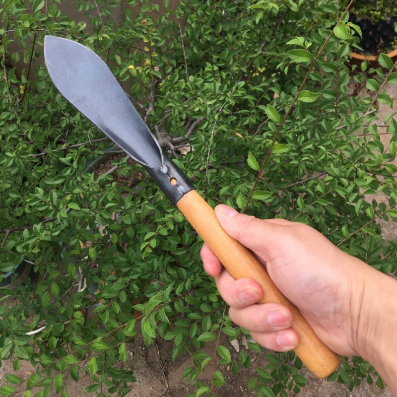 Лопата с дървена дръжка и нож от инструментална стомана; глава 150 g; за градина и засаждане, земеделие