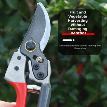 Ножици за резитба за градина: за клони на дървета, плодни дървета и цветя