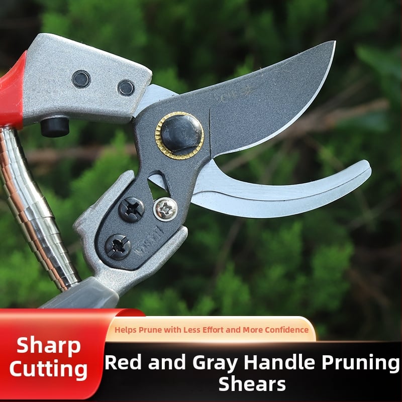 Ножици за резитба за градина: за клони на дървета, плодни дървета и цветя