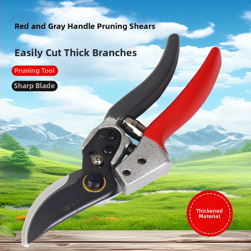 Ножици за резитба за градина: за клони на дървета, плодни дървета и цветя