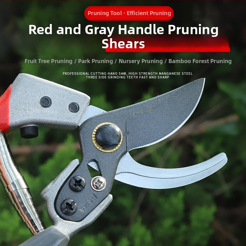 Ножици за резитба за градина: за клони на дървета, плодни дървета и цветя