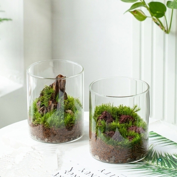 Μπουκάλι terrarium από γυαλί μποροσιλικό με Moss — μικρό φυτό γραφείου, εσωτερικό μικρο τοπίο, μάρκα Independent, κωδικός 88, συσκευασία από χαρτόνι