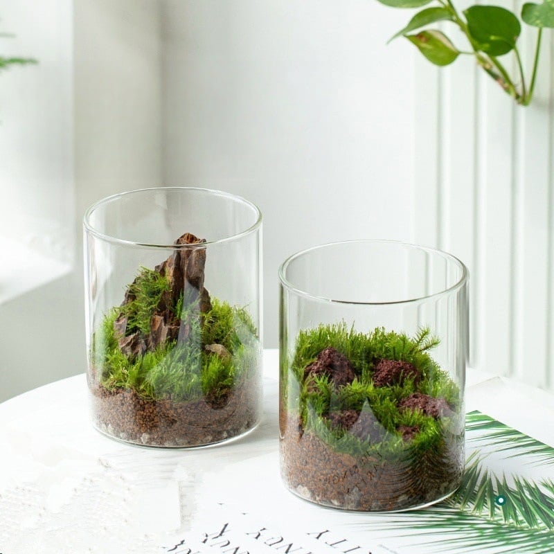 Μπουκάλι terrarium από γυαλί μποροσιλικό με Moss — μικρό φυτό γραφείου, εσωτερικό μικρο τοπίο, μάρκα Independent, κωδικός 88, συσκευασία από χαρτόνι