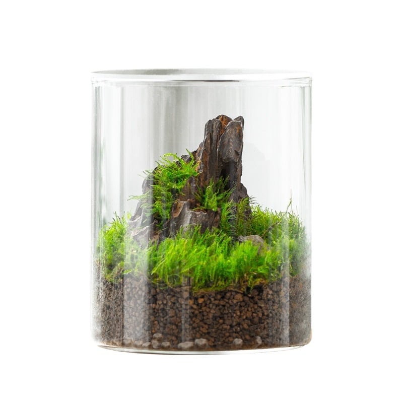 Μπουκάλι terrarium από γυαλί μποροσιλικό με Moss — μικρό φυτό γραφείου, εσωτερικό μικρο τοπίο, μάρκα Independent, κωδικός 88, συσκευασία από χαρτόνι