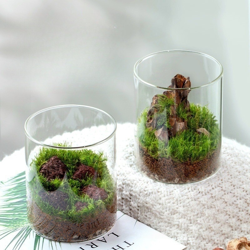 Μπουκάλι terrarium από γυαλί μποροσιλικό με Moss — μικρό φυτό γραφείου, εσωτερικό μικρο τοπίο, μάρκα Independent, κωδικός 88, συσκευασία από χαρτόνι