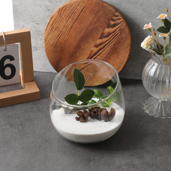 Vază din sticlă pentru micro-peisaj ecologic, din sticlă borosilicat înaltă, pentru birou sau sufragerie