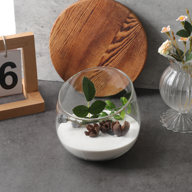 Vază din sticlă pentru micro-peisaj ecologic, din sticlă borosilicat înaltă, pentru birou sau sufragerie