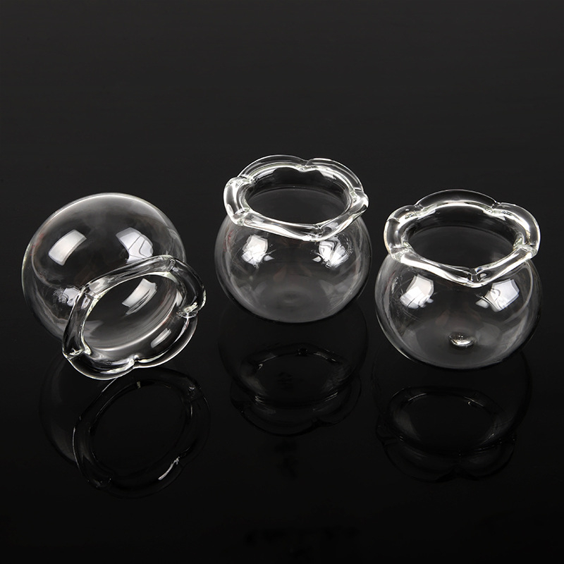 Acvariu din sticlă cu peisaj micro, recipient ecologic simplu pentru casă și birou, imprimare de logo posibilă