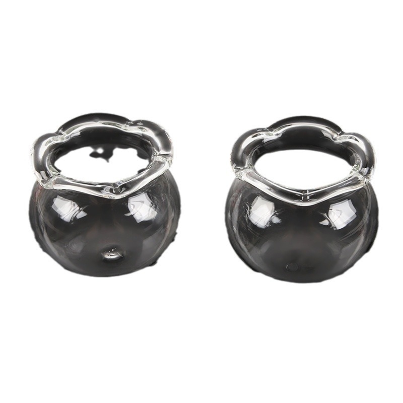 Acvariu din sticlă cu peisaj micro, recipient ecologic simplu pentru casă și birou, imprimare de logo posibilă