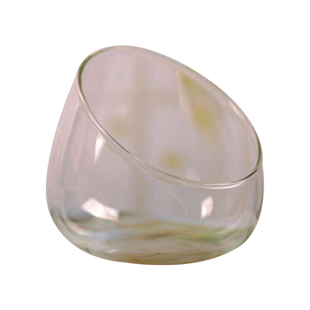 Vas de sticlă pentru micro-peisaj cu mușchi și suculente — sticlă borosilicată înaltă; Brand Xuanyi Glass; Import: Nu; Afișare pe birou; Nu este cadou
