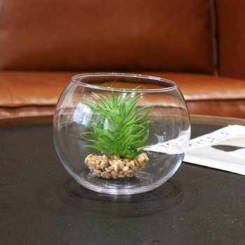 Hidroponinis mikropaišas stiklo buteliuke su permatiniu kamuoliuko akvariumu svetainei (Stiklas; Poliruotas paviršius; IP: Ne)