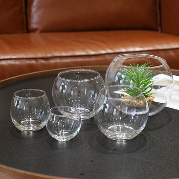 Hidroponinis mikropaišas stiklo buteliuke su permatiniu kamuoliuko akvariumu svetainei (Stiklas; Poliruotas paviršius; IP: Ne)