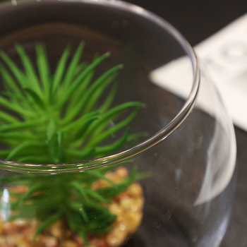 Hidroponinis mikropaišas stiklo buteliuke su permatiniu kamuoliuko akvariumu svetainei (Stiklas; Poliruotas paviršius; IP: Ne)