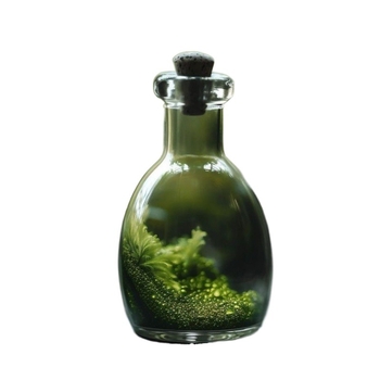 Mini samanų kraštovaizdis ant stalviršio — mikro kraštovaizdis buteliuke; Medžiaga: Kita; Prekės ženklas: Kita; Importas: Ne; Pakuotė: Peržiūrėti Detales; Pakabinimo forma: Kita; Dovana: Ne