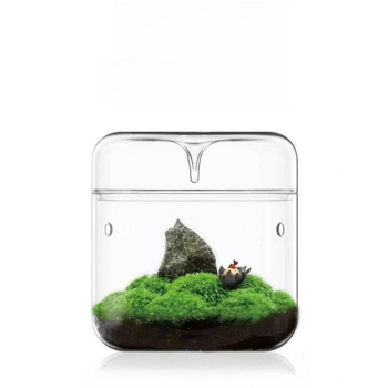 Rankų darbo stalinis stiklinis mikro peizažo buteliukas augalams (aukštos kokybės borosilikatinis stiklas; Independent prekė; kartoninė pakuotė; stovėjimo forma)