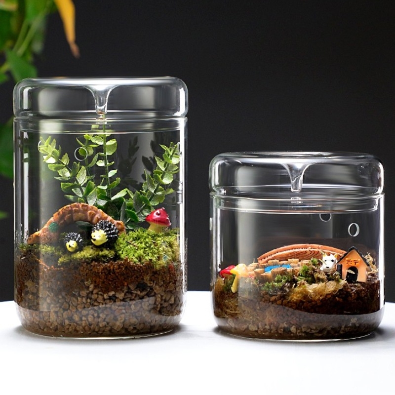 Rankų darbo stalinis stiklinis mikro peizažo buteliukas augalams (aukštos kokybės borosilikatinis stiklas; Independent prekė; kartoninė pakuotė; stovėjimo forma)