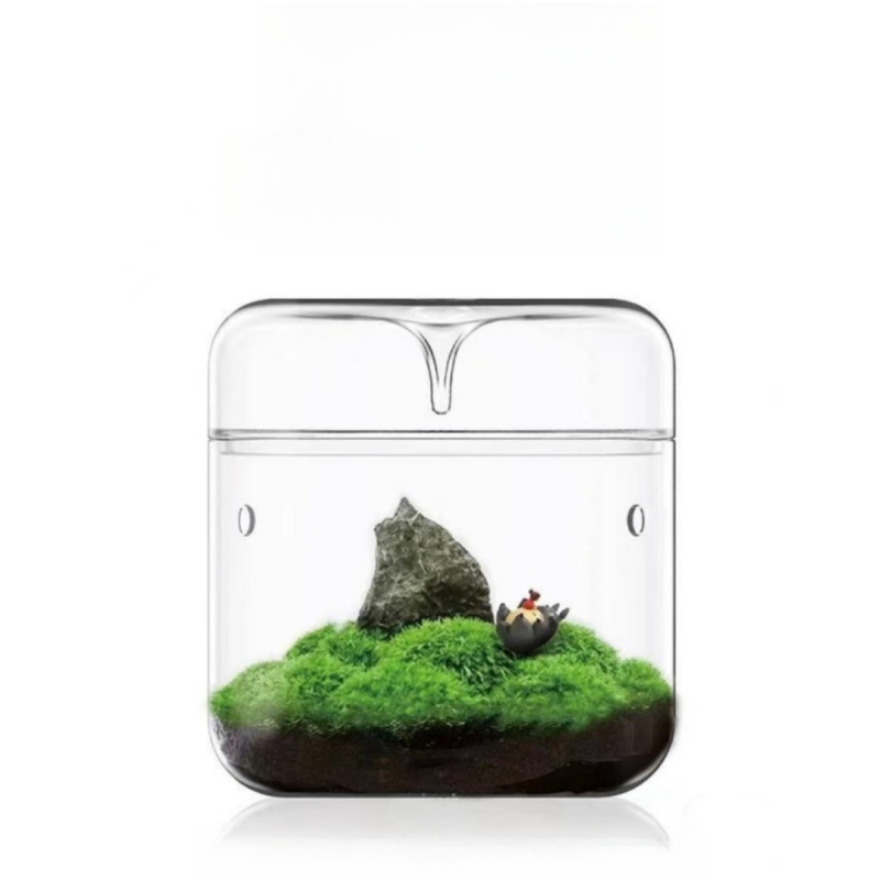 Rankų darbo stalinis stiklinis mikro peizažo buteliukas augalams (aukštos kokybės borosilikatinis stiklas; Independent prekė; kartoninė pakuotė; stovėjimo forma)