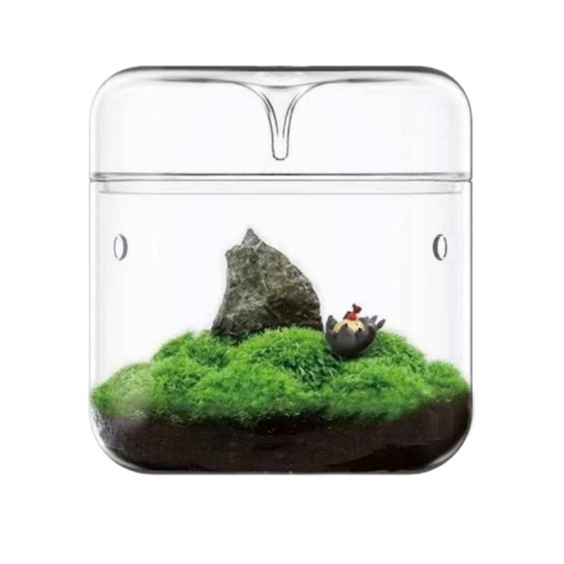Rankų darbo stalinis stiklinis mikro peizažo buteliukas augalams (aukštos kokybės borosilikatinis stiklas; Independent prekė; kartoninė pakuotė; stovėjimo forma)
