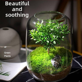 DIY kraštovaizdžio ekologiška buteliukė — aukštos borosilikacijos stiklas; kartono pakuotė; pastatymas ant paviršiaus; ne dovana; neimportuota