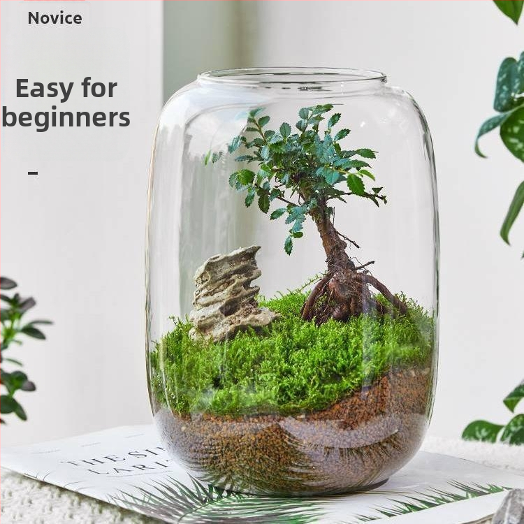 DIY kraštovaizdžio ekologiška buteliukė — aukštos borosilikacijos stiklas; kartono pakuotė; pastatymas ant paviršiaus; ne dovana; neimportuota