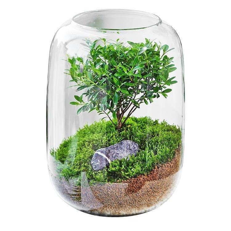 DIY kraštovaizdžio ekologiška buteliukė — aukštos borosilikacijos stiklas; kartono pakuotė; pastatymas ant paviršiaus; ne dovana; neimportuota