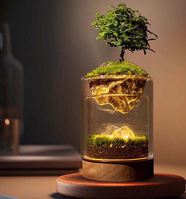 Мини пейзаж с растения и нощно осветление — стъкло, ръчна изработка, форма "Ярък младеж", стил: растение нощна светлина