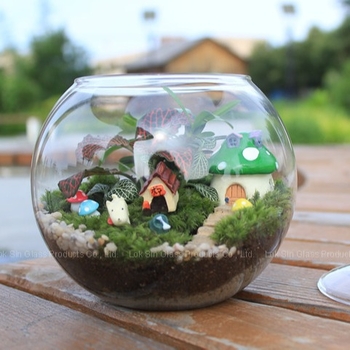 Mikro kraštovaizdis stiklo rutulyje su dangteliu – aukštos borosilikato stiklo, atsparus karščiui, dekoratyvinis buteliukas su samanomis ant stalo