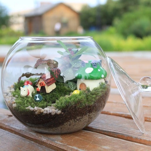 Mikro kraštovaizdis stiklo rutulyje su dangteliu – aukštos borosilikato stiklo, atsparus karščiui, dekoratyvinis buteliukas su samanomis ant stalo