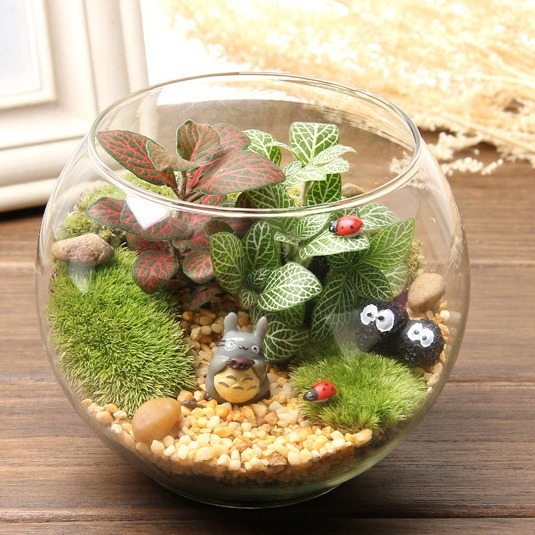 Mikro kraštovaizdis stiklo rutulyje su dangteliu – aukštos borosilikato stiklo, atsparus karščiui, dekoratyvinis buteliukas su samanomis ant stalo