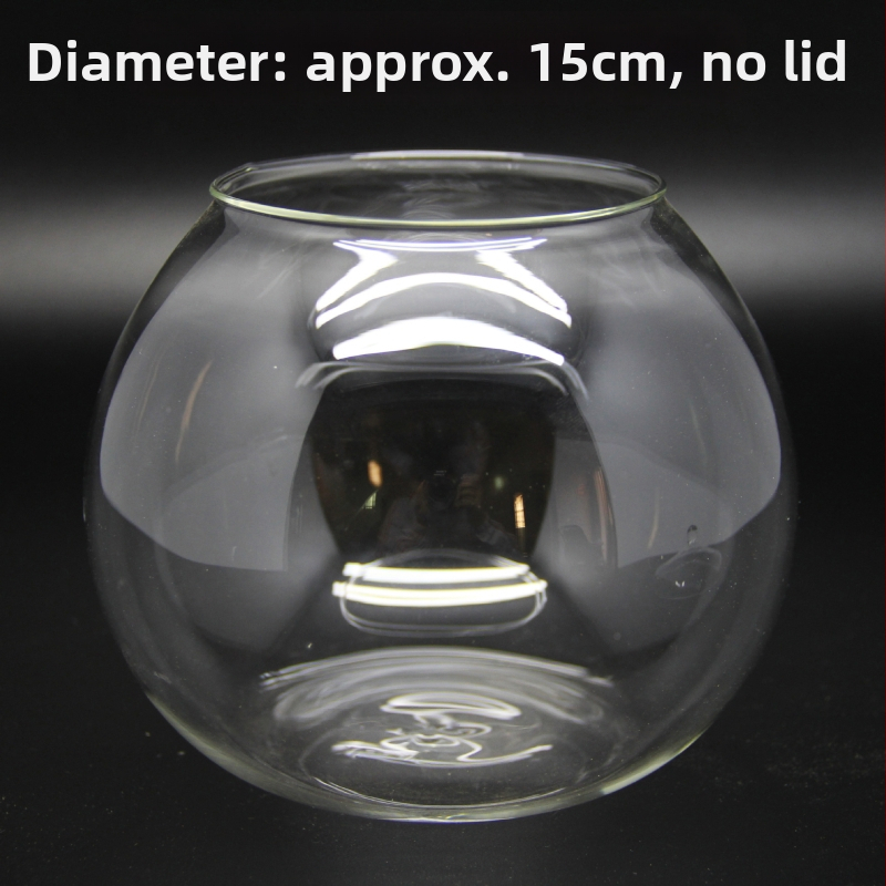 Mikro kraštovaizdis stiklo rutulyje su dangteliu – aukštos borosilikato stiklo, atsparus karščiui, dekoratyvinis buteliukas su samanomis ant stalo