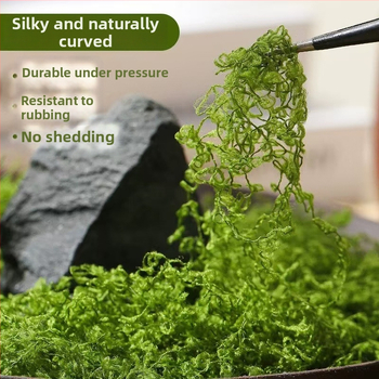 Dirbtinis samanos veja mikro kraštovaizdžio dekoracijai; samanos kilimas ir žalios augalai (Prekės ženklas: Kita; Importas: Ne; Dovana: Ne)