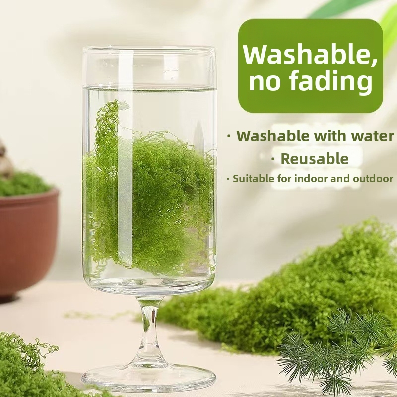 Dirbtinis samanos veja mikro kraštovaizdžio dekoracijai; samanos kilimas ir žalios augalai (Prekės ženklas: Kita; Importas: Ne; Dovana: Ne)