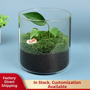 Stiklo mikro peizažo buteliukas iš borosilikatinio stiklo hidroponikai ir vandens augalams, kodas D-01