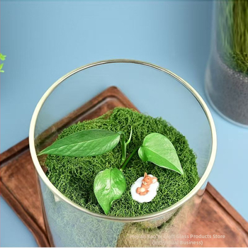 Stiklo mikro peizažo buteliukas iš borosilikatinio stiklo hidroponikai ir vandens augalams, kodas D-01