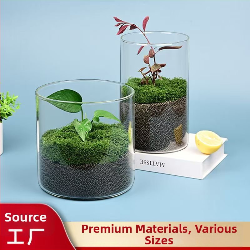 Stiklo mikro peizažo buteliukas iš borosilikatinio stiklo hidroponikai ir vandens augalams, kodas D-01