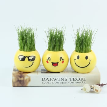 DIY fűfej porcelán mini cserepessel - mikrotáj dekorációs játék, ajándék