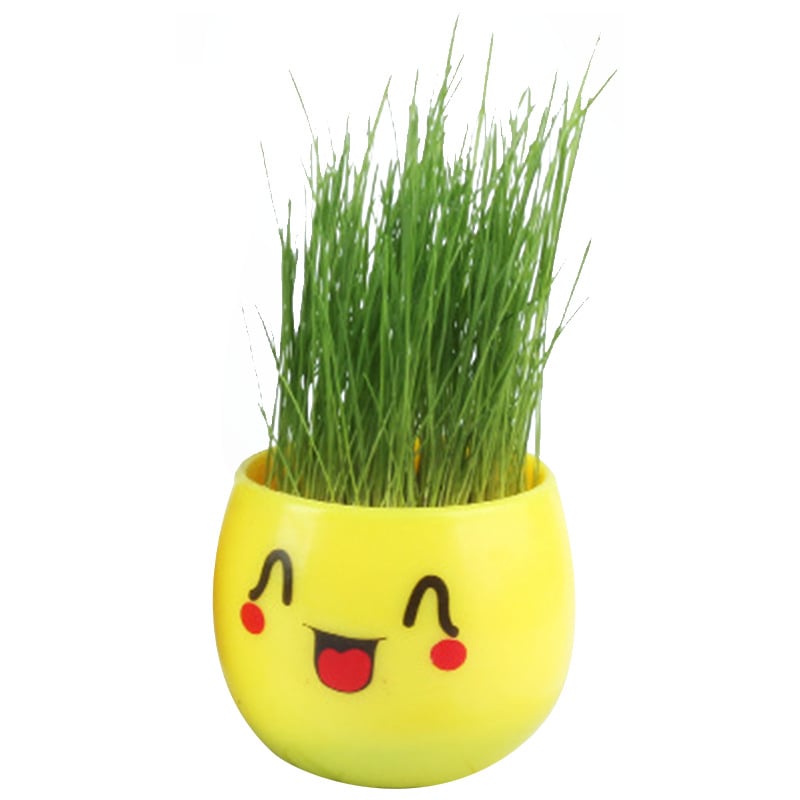 DIY fűfej porcelán mini cserepessel - mikrotáj dekorációs játék, ajándék